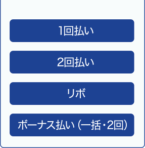 1回払い 2回払い リボ ボーナス払い（一括・2回）