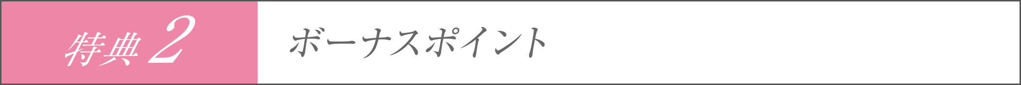 特典2 ボーナスポイント