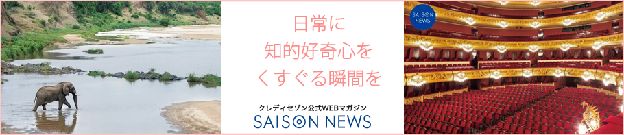 SAISON NEWS