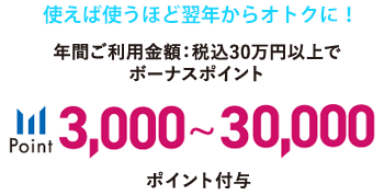 年間ご利用金額：税込30万円以上でボーナスポイント3,000～30,000ポイント付与