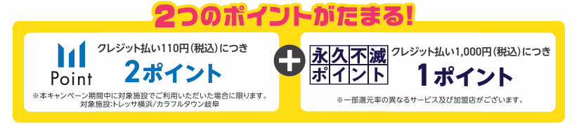 2つのポイントがたまる！