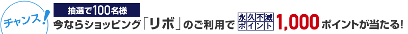 今ならショッピング「リボ」のご利用で抽選で100名様に永久不滅ポイント1,000ポイントが当たる！