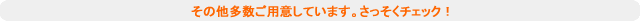 その他多数ご用意しています。さっそくチェック！