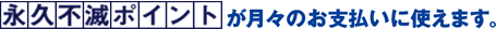 永久不滅ポイントが月々のお支払いに使えます。