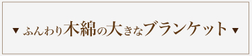 ふんわり木綿の大きなブランケット