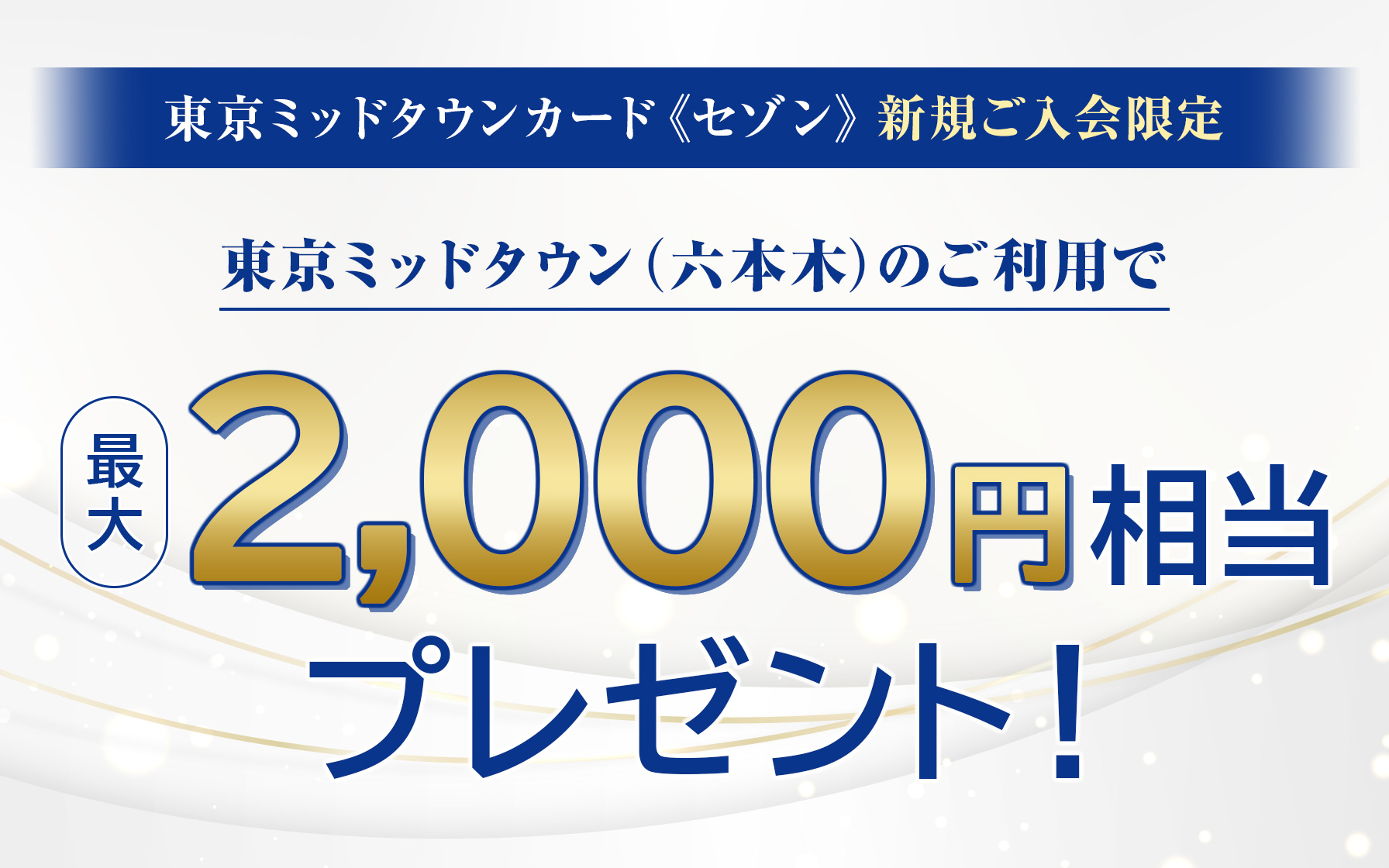 永久不滅ポイント | クレジットカードはセゾンカード