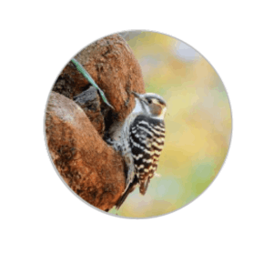 赤城自然園アカウントをフォローする