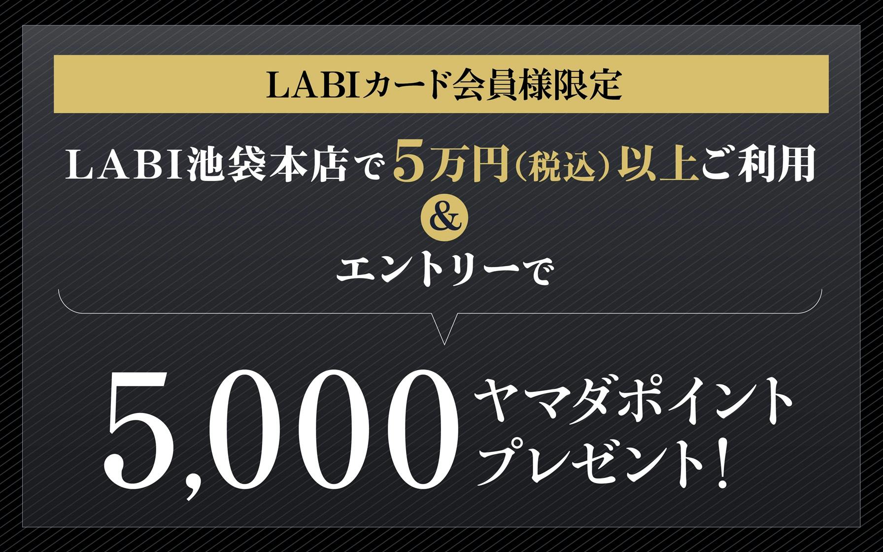 【LABI池袋本店限定】LABIカードご利用で5,000ヤマダポイントプレゼント！　※要エントリー