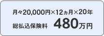 月々20,000円×12ヵ月×20年、総払込保険料480万円
