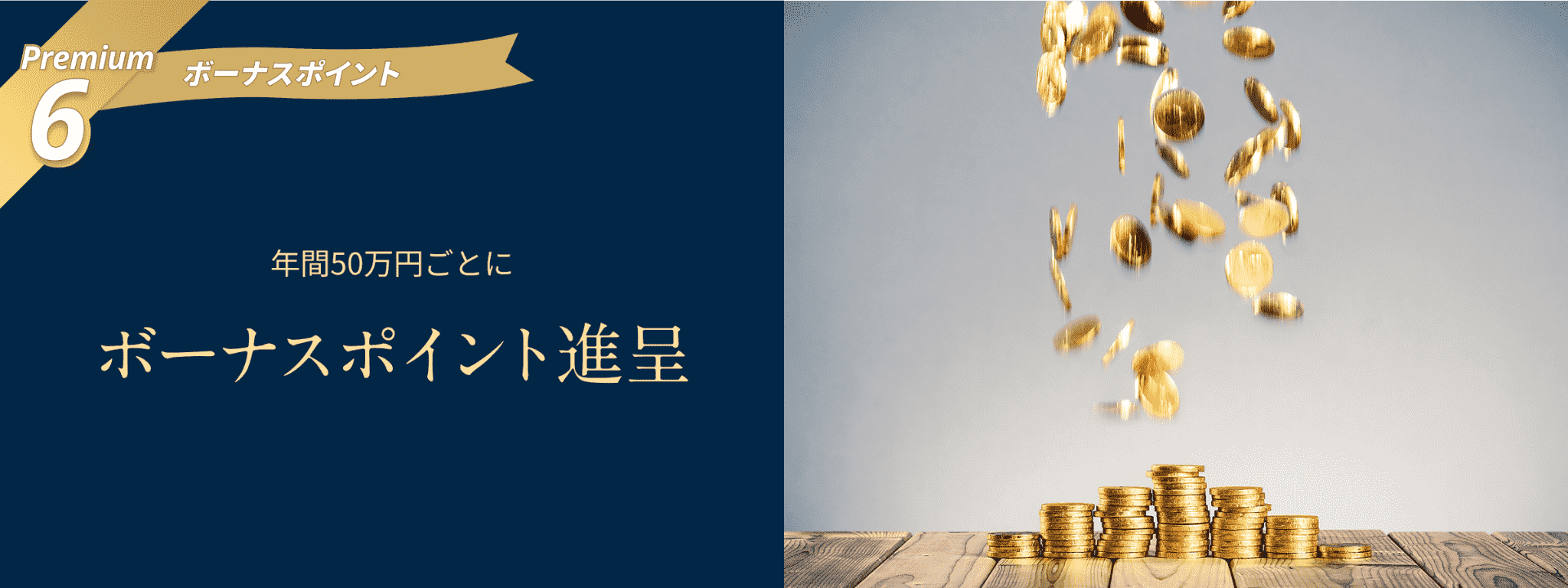 Premium6 ボーナスポイント 年間50万円ごとにボーナスポイント進呈