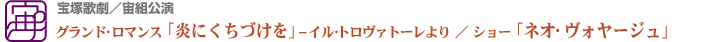 宝塚歌劇/宙組公演グランド･ロマンス「炎にくちづけを」_イル･トロヴァトーレより ／ ショー「ネオ･ヴォヤージュ」