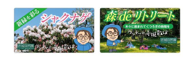 赤城自然園チャンネル投稿イメージ